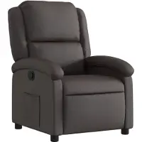 vidaXL Relaxsessel Dunkelbraun Echtleder