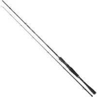 Daiwa Prorex Xr Baitcastrute Silber 2.59 m / 80-180 g Silber 2.59 m