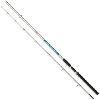 Zunzun Mar De Plata Spinnrute Silber 2.10 m / 80-120 g Silber 2.10 m