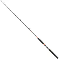 Daiwa Megaforce Trollingrute Silber 1.70 m / 30-50 Lbs Silber 1.70 m
