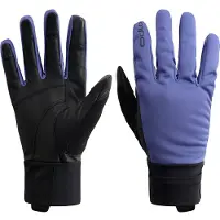 Odlo Nordic Warm Handschuhe