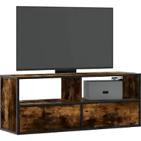 vidaXL TV-Schrank Räuchereiche 100x31x39,5 cm Holzwerkstoff und Metall