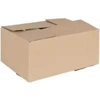 vidaXL Faltbox mit Speicher 50 pcs Natur 30 x 21,5 x 14 cm Karton