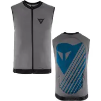 Dainese Rückenprotektor Scarabeo Flexagon Waistcoat 2 Kinder Silver Filigree/Stellar-XL