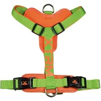 Nayeco X-trm Cronos Neon Flash Hundegeschirr Grün 25mm x 60-100cm Grün 25mm x 60-100cm