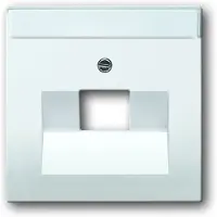 Busch-Jaeger 1710-0-3889, Weiß, konventionell, Jede Marke, 63 mm, 63 mm, 1 Stück(e)