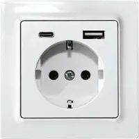 Eltako Schutzkontakt-Steckdose reinweiß glänzend DSS55E+USBA+C-wg