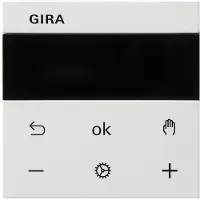 Gira 539327 S3000 RTR Display System 55 Reinweiß m