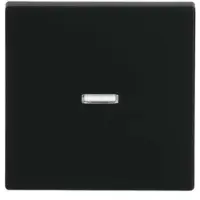 Busch-Jaeger BUSCH JAEGER Wippe schwarz matt 1789 N-885 2CKA001751A3154