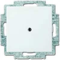 Busch-Jaeger Balance SI Steuerelement/Zentralplatte Schaltanlage - 2CKA001715A0319