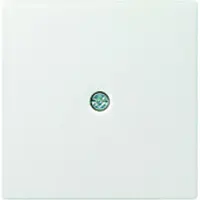 Gira Zentralpl.Schnurabl. alu System55 027426
