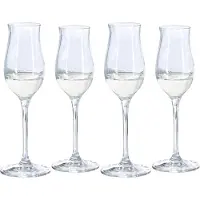 Spiegelau Digestifglas Spirit Glasses 135 ml (4-teilig)