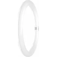 Osram - Ledtube T9C Em 32 18.3W 840 G10Q - 4099854042683
