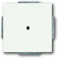 ABB 1742-81 Blindzentralscheibe mit Tragring Future Linear anthrazit