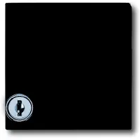 Busch-Jaeger 2118 GKSL-35, Anthrazit, IP 44