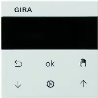 Gira System 3000 Intelligentes Bedienelement - 536603