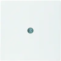 Hager 10191909, Weiß, Kunststoff, Thermoplast, Schraubenlos, Jede Marke, Matte, 1 Stück(e)