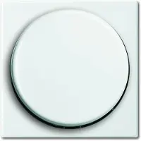 Busch-Jaeger Balance SI Steuerelement/Zentralplatte Schaltanlage - 2CKA006599A3017