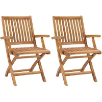 vidaXL Klappbare Gartenstühle 2 Stk. Massivholz Teak