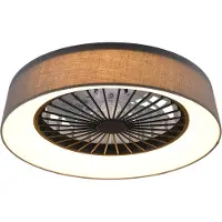 TRIO LED-Deckenventilator Farsund 47cm schwarz