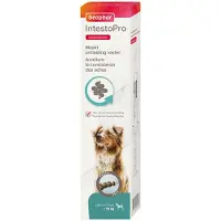 Beaphar IntestoPro Paste Dog from 15kg