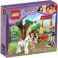 LEGO Friends Olivias Fohlen, Mehrfarben