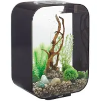 BiOrb LIFE 15 LED schwarz