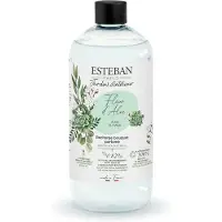 Esteban Aloe Blume Nachfüller für Bukett 500ml