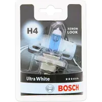 Bosch H4 Lampen Autolampen 12V 60/55W 1 987 301 152
