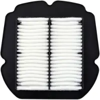 Champion LUFTFILTER SFV 650/SV650 16- CAF2618
