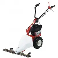 Eurosystems M210 Motormäher mit Doppelmessern Loncin LC1P65FE