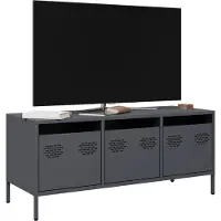 vidaXL TV-Schrank Anthrazit 101,5x39x43,5 cm Kaltgewalzter Stahl