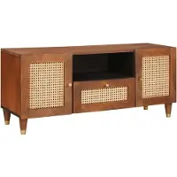 vidaXL TV-Schränk mit Regal Braun 105 x 33,5 x 46 cm Massivholz Mango