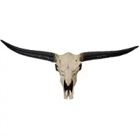 Décoshop26 - Dekorativer Schädel 132 cm Trophäen-Bullenkopf (Longhorn) aus Polyresin für den Innen- und Außenbereich Naturfarbe 04_0002845