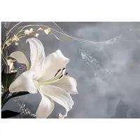 WALLARENA FOTOTAPETE Blumen Blätter Wohnzimmer Vlies Tapete 350x250
