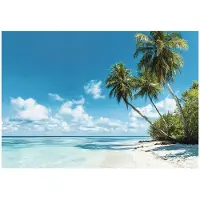 WALLARENA FOTOTAPETE 3D Effekt Strand Meer Palmen Hawaii 250x175
