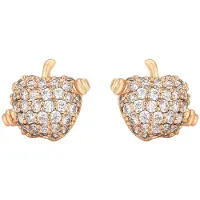 NAEMI Women Earrings in Rose Gold | Gr.: onesize