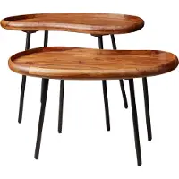 FineBuy Couchtisch Set FB52620 Sheesham Massiv Satztisch Nierenform mit Metallbeinen Wohnzimmertische Massivholz Kleine Nierentische Echtholz