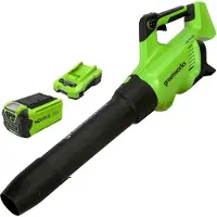 Greenworks G-Max Accu Laubbläser 40 V - mit Akku und Ladegerät