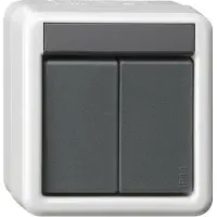 Gira Taster BA 2fach 2 Punkt WG 516230 AP Grau