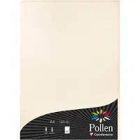 Pollen Papier