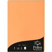 Pollen Papier