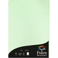 Pollen Papier
