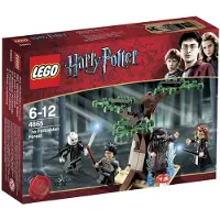 LEGO The Forbidden Forest, 6 Jahr(e), 12 Jahr(e), 64 Stück