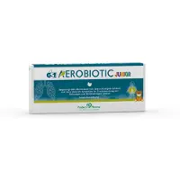 GSE Aerobiotic Junior Einm.Amp.f.Vern.Inhal.-Lsg. 10x5 ml Inhalationslösung