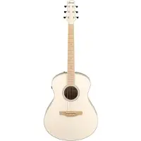 Ibanez AAM300CE-NT