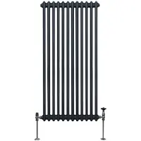 MonsterShop Traditioneller 2-Spalten-Heizkörper - 1500 x 562 mm - Anthrazitgrau