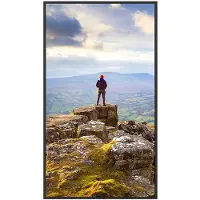 Sharp Large Format Display E439