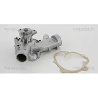 TRISCAN Wasserpumpe 8600 29390