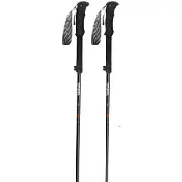 Gabel Ibex Carbon Xts Stöcke
